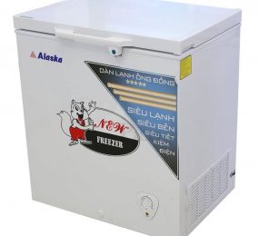 Tủ đông Alaska BD-200C - Hàng chính hãng