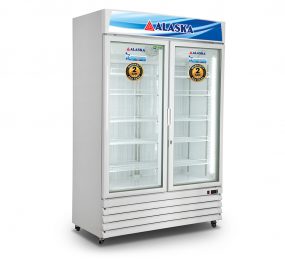 Tủ đông Alaska IFC-100G2 - Hàng chính hãng