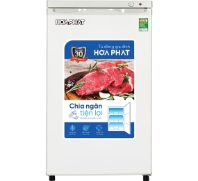 Tủ đông đứng Hòa Phát HPF-UAH6106 - Hàng chính hãng