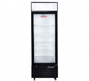 Tủ đông đứng Sanaky VH-768K - Hàng chính hãng