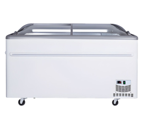 Tủ đông H&C CBCQS-21L - Hàng chính hãng