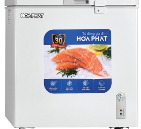 Tủ đông Hòa Phát 1 ngăn HPF AD6162 - Hàng chính hãng