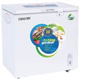 Tủ đông Hòa Phát HCF-336S1PN1 - Hàng chính hãng