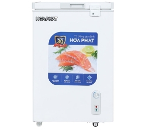 Tủ đông Hòa Phát HPF-AN6107 - Hàng chính hãng