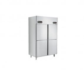 Tủ đông Sanaky VH-1099W - Hàng chính hãng