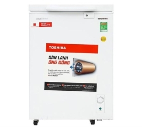 Tủ đông Toshiba GR-RC185CM-PMV(01) - Hàng chính hãng