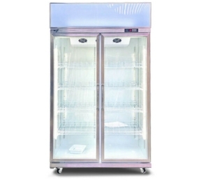 Tủ đông cánh kính Snow Village LD-1260FA - Hàng chính hãng