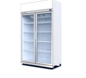 Tủ mát 2 cánh kính TurboGold TG-2DC-GS - Hàng chính hãng