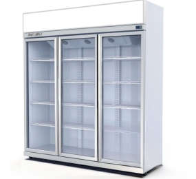 Tủ mát 2 cánh kính TurboGold TG-3DC-GS - Hàng chính hãng