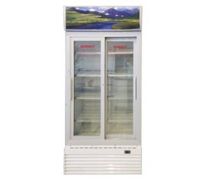 Tủ mát Sanaky VH-1009HP2 - Hàng chính hãng