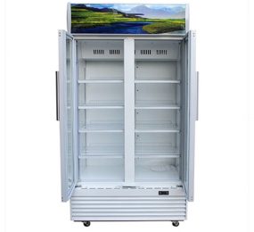 Tủ mát Sanaky VH-1209HP - Hàng chính hãng