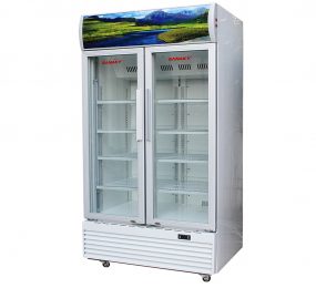 Tủ mát Sanaky VH-8009HPNK - Hàng chính hãng