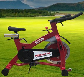 Xe đạp tập thể hình Perfect US 8505 - Hàng chính hãng