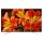 Android Tivi Sony KD-60X8300F - Hàng chính hãng
