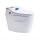 Bồn cầu thông minh Sarika SR–001 - Hàng chính hãng