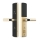 Khóa cửa vân tay Kassler KL-678 GOLD - Hàng chính hãng