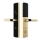 Khóa cửa vân tay Kassler KL-678 GOLD App Wifi - Hàng chính hãng