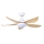 Quạt trần Mr.Vũ CORA 40 - Hàng chính hãng