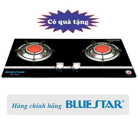 Bếp gas âm hồng ngoại Bluestar NG-6730C (Magneto) - Hàng chính hãng