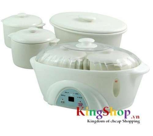 Nồi tiềm Homemax HMNT-JQD-16A  - Thương hiệu Mã Lai - Hàng chính hãng